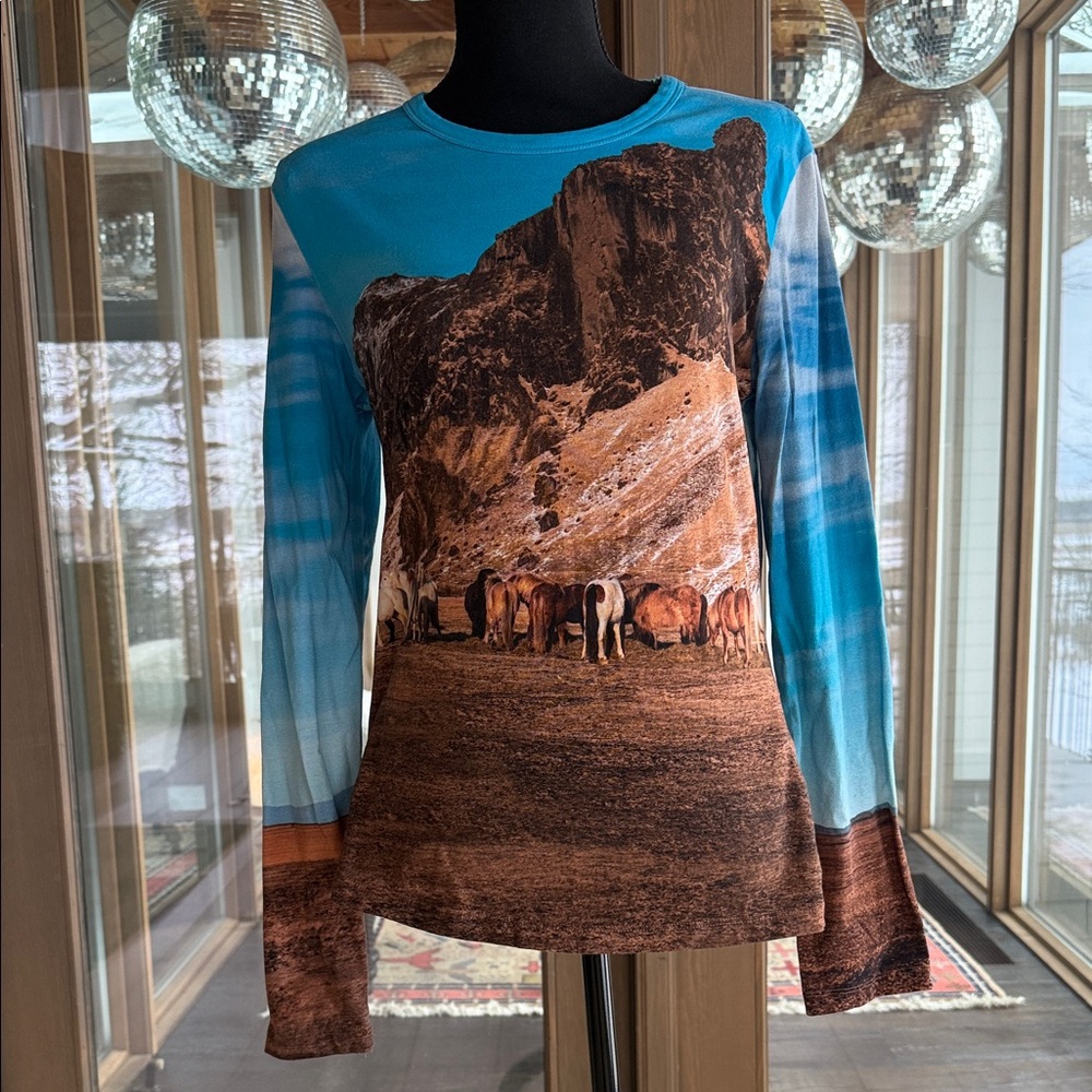 Zara Blue and Brown Scenic Print Long Sleeve Tee